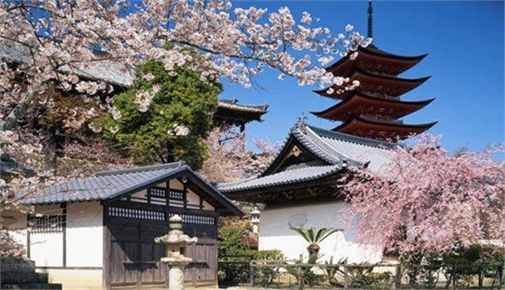 申請日本留學(xué)簽證有哪些誤區(qū)呢？