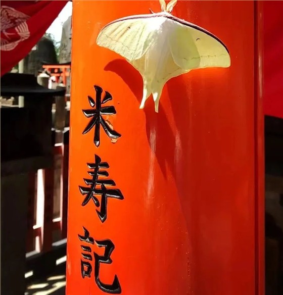 微信圖片_20230328104222
