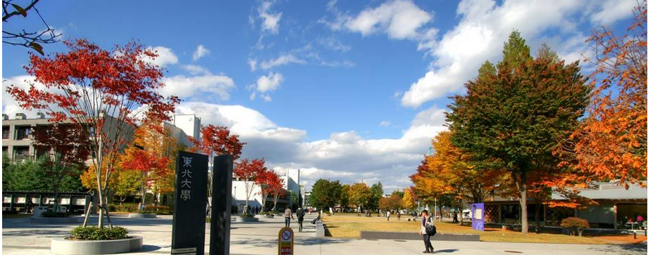 東北大學(xué)