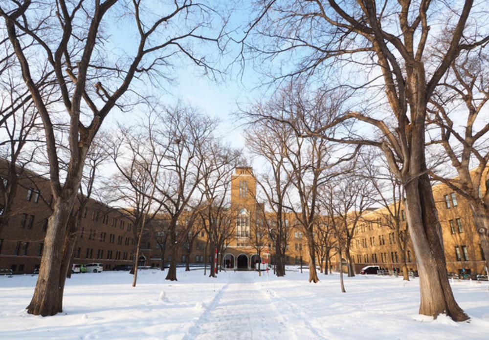 北海道大學(xué)