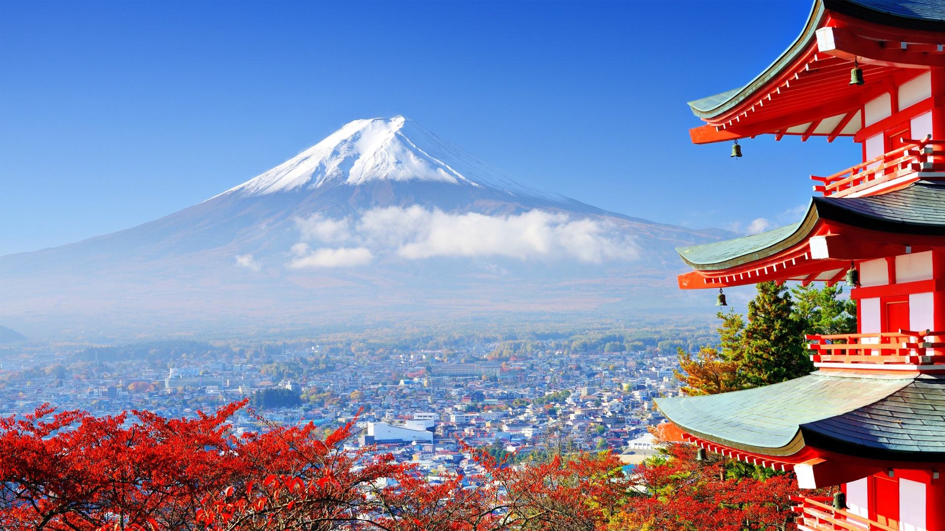 「日本」11月16日起赴日留學(xué)簽證申請材料發(fā)生新變動
