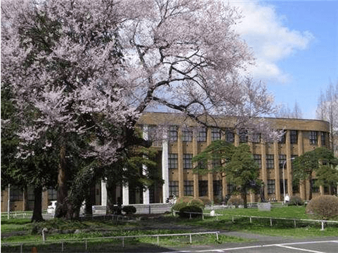 日語公開課免費學 還有可能直接保送日本名校