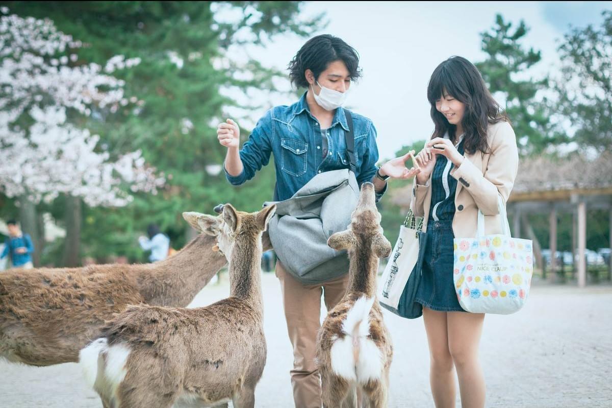 日本情侶