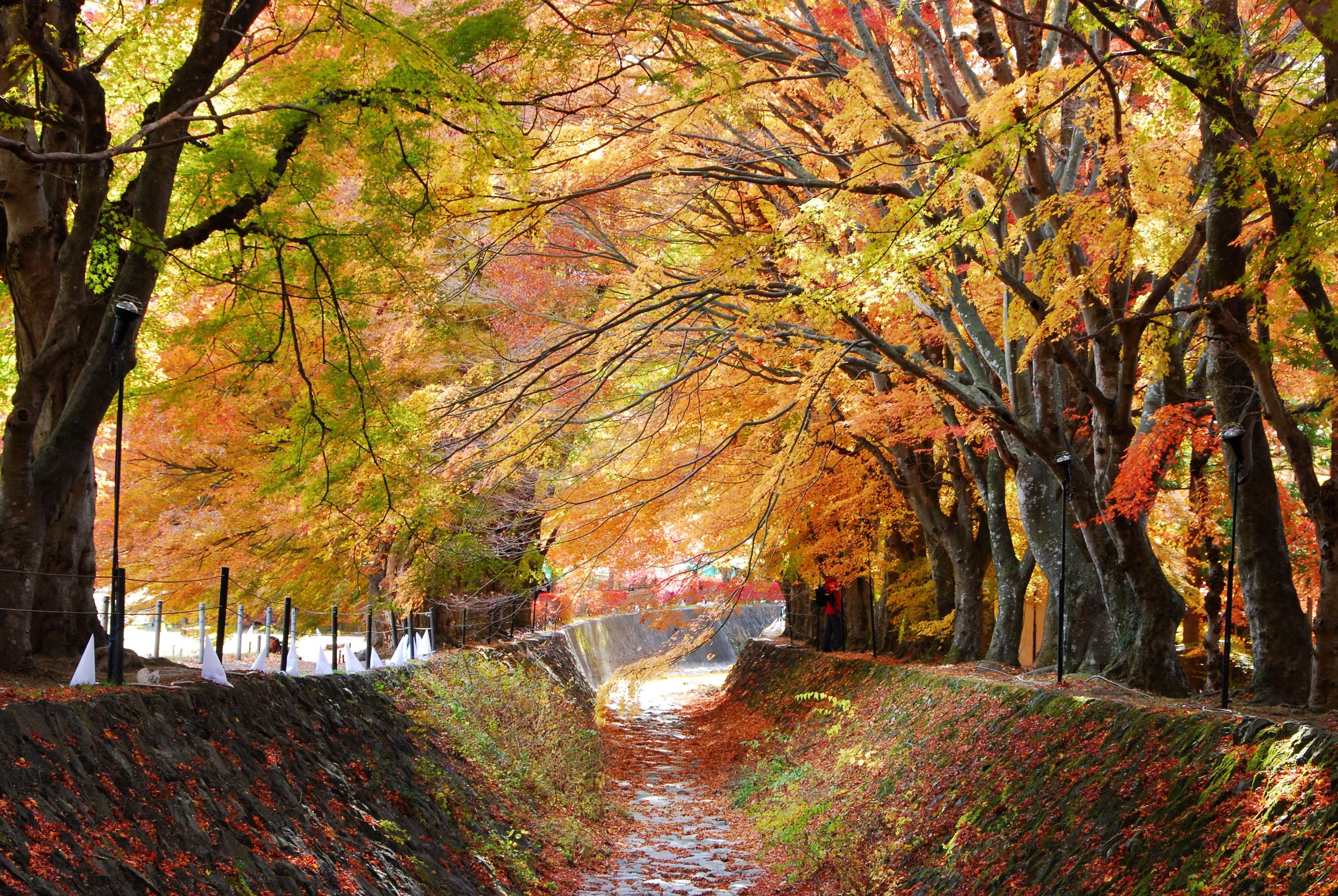 東京1