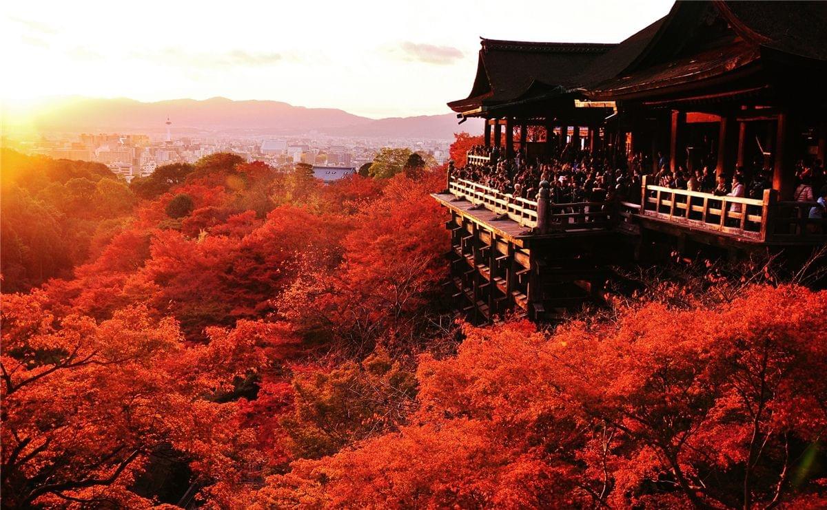 京都紅葉