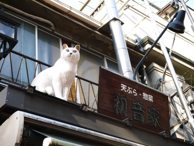 貓街1