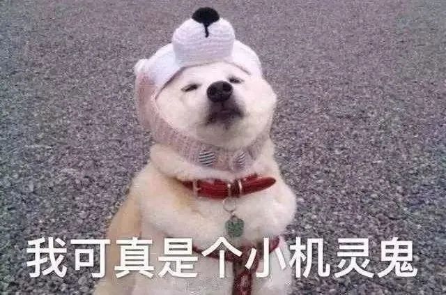 微信圖片_20220414095920