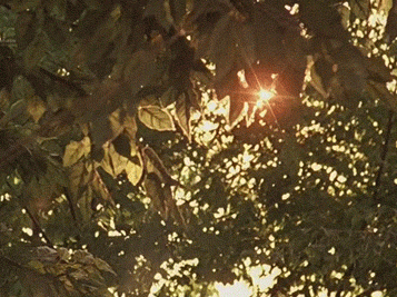 微信圖片_20220713100125