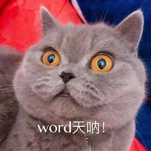 微信圖片_20220908092442