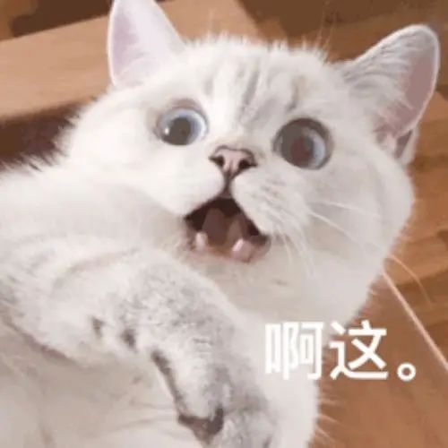 微信圖片_20220908092549