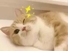 微信圖片_20221121093039