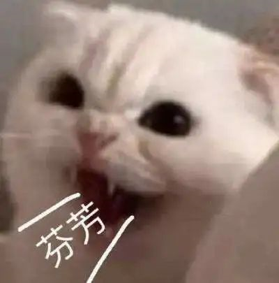 微信圖片_20230208091934