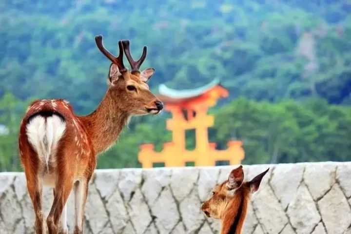 微信圖片_20230308093546