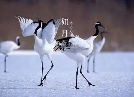 微信圖片_20230402103629