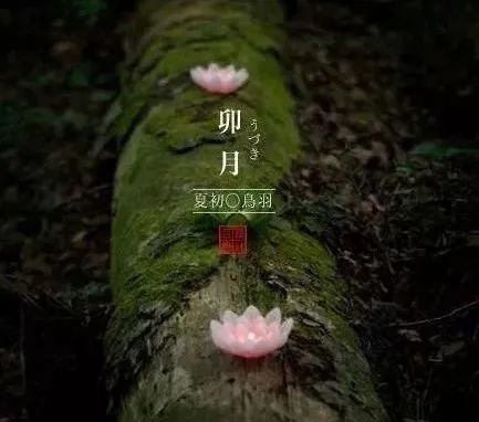 微信圖片_20230402103742