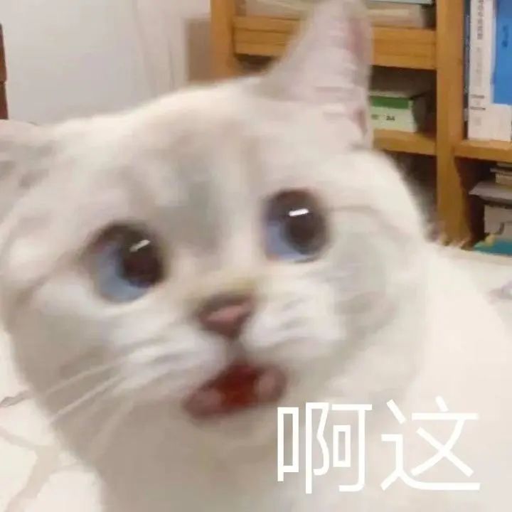 微信圖片_20240201160658