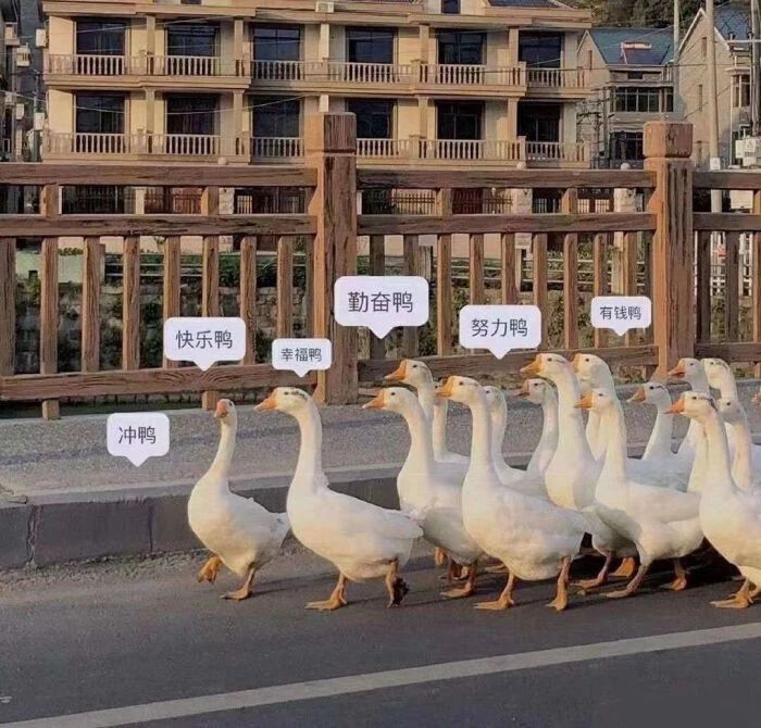 微信圖片_20250608185250
