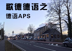 歌德德語之德語APS