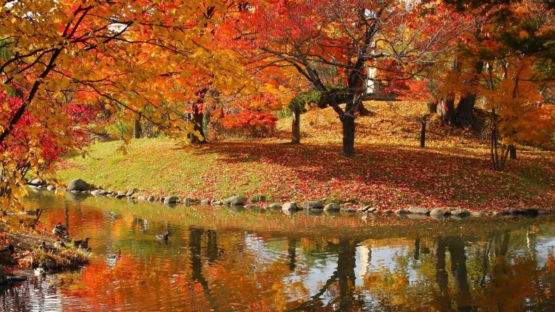 日語高考培訓班，西諾帶你學旅行口語——看醫(yī)生（日本）