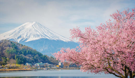 日語考級：25個日本常用諺語，知道的都是高手