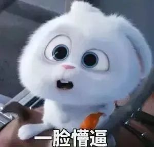 微信圖片_20220830095105