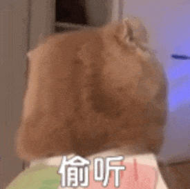 微信圖片_20231026091716