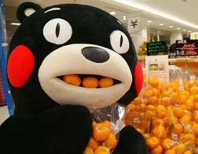微信圖片_20231112093612