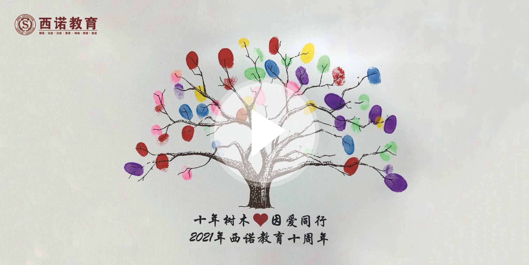 我眼中的西諾的顏色：西諾的生命之樹